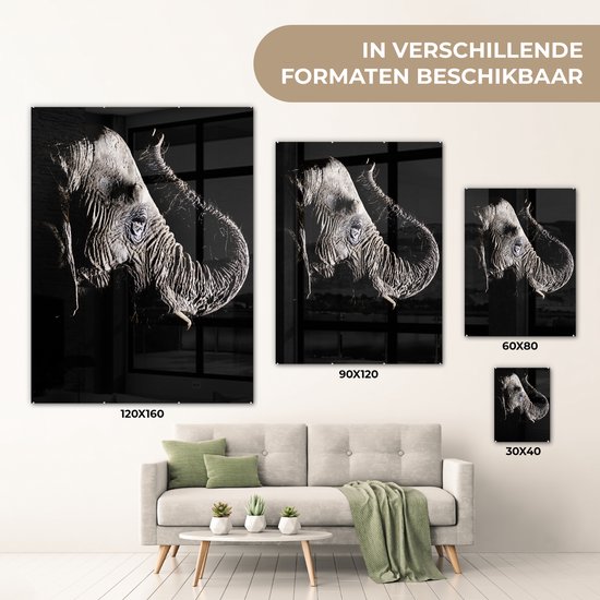 MuchoWow® Peinture sur verre 90x120 cm - Peinture sur verre acrylique - Éléphant - Zwart - Animaux - Nature - Photo sur verre - Peintures