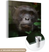 MuchoWow® Glasschilderij 90x90 cm - Schilderij acrylglas - Dieren - Aap - Jungle - Foto op glas - Schilderijen