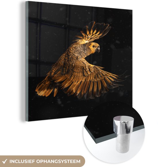 MuchoWow® Glasschilderij 20x20 cm - Schilderij acrylglas - Papegaai - Goud - Vliegen - Foto op glas - Schilderijen