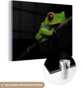MuchoWow® Glasschilderij 40x30 cm - Schilderij acrylglas - Roodoogmakikikker op zwarte achtergrond - Foto op glas - Schilderijen