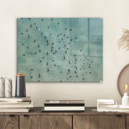 MuchoWow® Peinture sur verre 40x30 cm - Peinture sur verre acrylique - Vue de dessus des oiseaux au-dessus de la mer - Photo sur verre - Peintures
