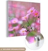 MuchoWow® Glasschilderij 90x90 cm - Schilderij acrylglas - Bloemen - Buiten - Roze - Foto op glas - Schilderijen