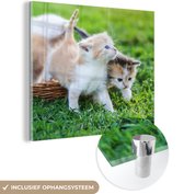 MuchoWow® Glasschilderij 90x90 cm - Schilderij acrylglas - Kittens - Kat - Mand - Meisjes - Kinderen - Jongens - Kids - Foto op glas - Schilderijen
