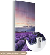 MuchoWow® Glasschilderij 20x40 cm - Schilderij acrylglas - Een prachtig lavendelveld bij zonsondergang - Foto op glas - Schilderijen