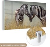 MuchoWow® Glasschilderij 160x80 cm - Schilderij acrylglas - Moeder zebra en haar jong - Foto op glas - Schilderijen