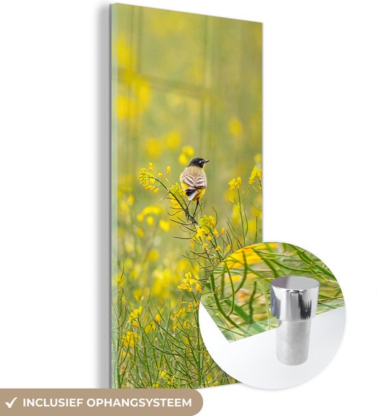 MuchoWow® Glasschilderij 40x80 cm - Schilderij acrylglas - Vogel - Bloemen - Geel - Foto op glas - Schilderijen