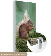 MuchoWow® Peinture sur verre 80x160 cm - Peinture sur verre acrylique - Écureuil - Forêt - Mousse - Photo sur verre - Peintures