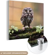 MuchoWow® Glasschilderij 50x50 cm - Schilderij acrylglas - Kleine uil - Foto op glas - Schilderijen