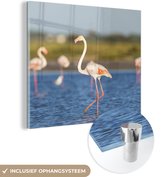 MuchoWow® Glasschilderij 50x50 cm - Schilderij acrylglas - Een groep flamingo's in het water - Foto op glas - Schilderijen