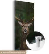 MuchoWow® Glasschilderij 60x120 cm - Schilderij acrylglas - Hert - Gewei - Natuur - Foto op glas - Schilderijen