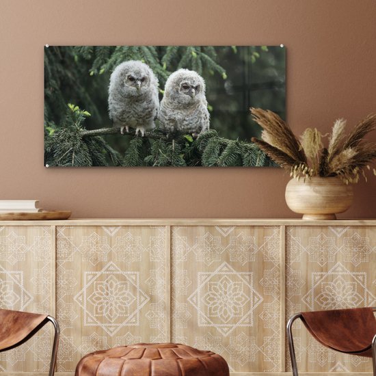 MuchoWow® Peinture sur verre 80x40 cm - Peinture sur verre acrylique - Deux hiboux - Photo sur verre - Peintures