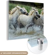 MuchoWow® Glasschilderij 90x90 cm - Schilderij acrylglas - Paarden - Water - Natuur - Foto op glas - Schilderijen