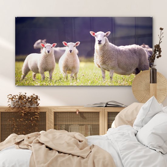 MuchoWow® Peinture sur verre 120x60 cm - Peinture sur verre - Mouton - Agneau - Fleurs - Photo sur verre acrylique - Peintures