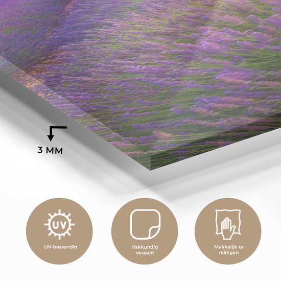 ® Glasschilderij 20x40 cm - Schilderij acrylglas - Rijen van lavendel voor bergen - Foto op glas - Muurdecoratie woonkamer - Wanddecoratie slaapkamer - Schilderijen