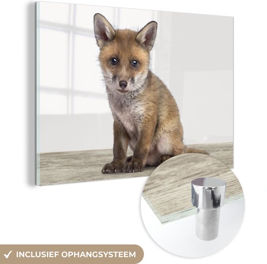 MuchoWow® Peinture sur verre 30x20 cm - Peinture acrylique sur verre - Renard - Bébé renard - Enfants - Filles - Garçons - Photo sur verre - Peintures