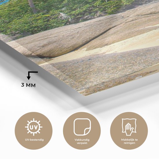 MuchoWow® Peinture sur verre 20x40 cm - Peinture sur verre acrylique - Plage - Tropical - Mer - Plantes - Photo sur verre - Peintures