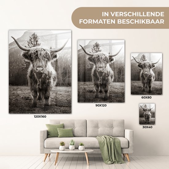 MuchoWow® Peinture sur verre 30x40 cm - Peinture acrylique sur verre - Highlander écossais - Zwart - Wit - Animaux - Photo sur verre - Peintures