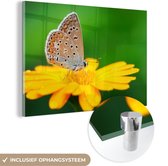 MuchoWow® Glasschilderij 60x40 cm - Schilderij acrylglas - Bloemen - Vlinder - Natuur - Foto op glas - Schilderijen
