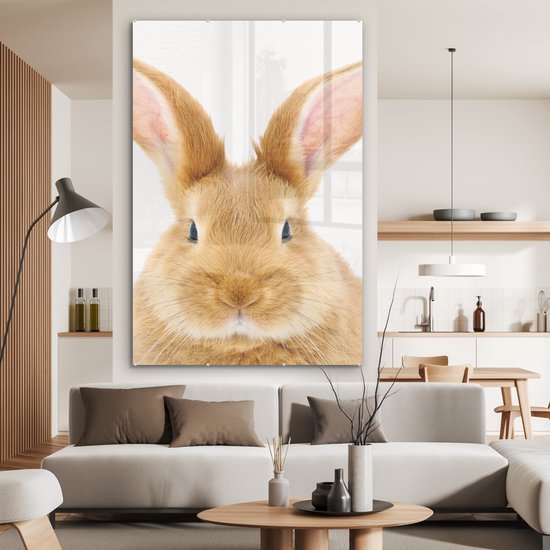 MuchoWow® Peinture sur verre 120x180 cm - Peinture sur verre acrylique - Enfants - Lapin - Enfant - Filles - Garçons - Photo sur verre - Peintures