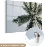 MuchoWow® Glasschilderij 30x20 cm - Schilderij acrylglas - Palmboom - Tropical - Zomer - Foto op glas - Schilderijen