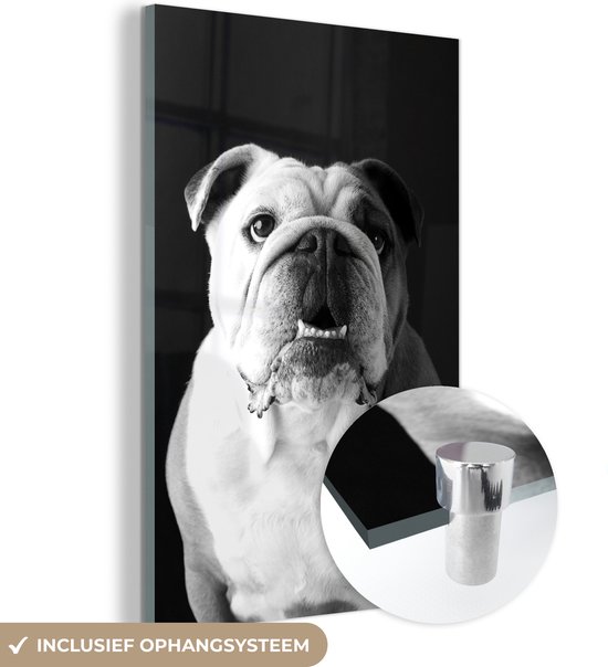 Peinture sur verre - un Bouledogue Anglais - noir et blanc - 120x180 cm - Peintures sur Verre Peintures - Photo sur Glas