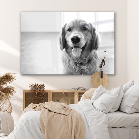 ® Glasschilderij 180x120 cm - Schilderij acrylglas - Portret van een super mooie Golden Retriever - Foto op glas - Muurdecoratie woonkamer - Wanddecoratie slaapkamer - Schilderijen