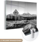 MuchoWow® Glasschilderij 120x80 cm - Schilderij acrylglas - Kiwi bord in Nieuw-Zeeland - zwart wit - Foto op glas - Schilderijen