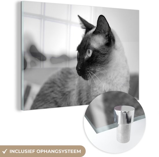 MuchoWow® Glasschilderij 150x100 cm - Schilderij acrylglas - Siamese kat - zwart wit - Foto op glas - Schilderijen