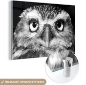 MuchoWow® Glasschilderij 180x120 cm - Schilderij acrylglas - Close-up van een uil - zwart wit - Foto op glas - Schilderijen