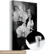 MuchoWow® Glasschilderij 20x30 cm - Schilderij acrylglas - Orchidee - zwart wit - Foto op glas - Schilderijen