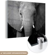 MuchoWow® Glasschilderij 40x30 cm - Schilderij acrylglas - Close-up van een olifant - zwart wit - Foto op glas - Schilderijen