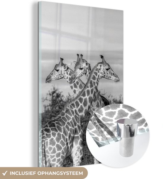 MuchoWow® Glasschilderij 80x120 cm - Schilderij acrylglas - Giraffen in Oeganda - zwart wit - Foto op glas - Schilderijen