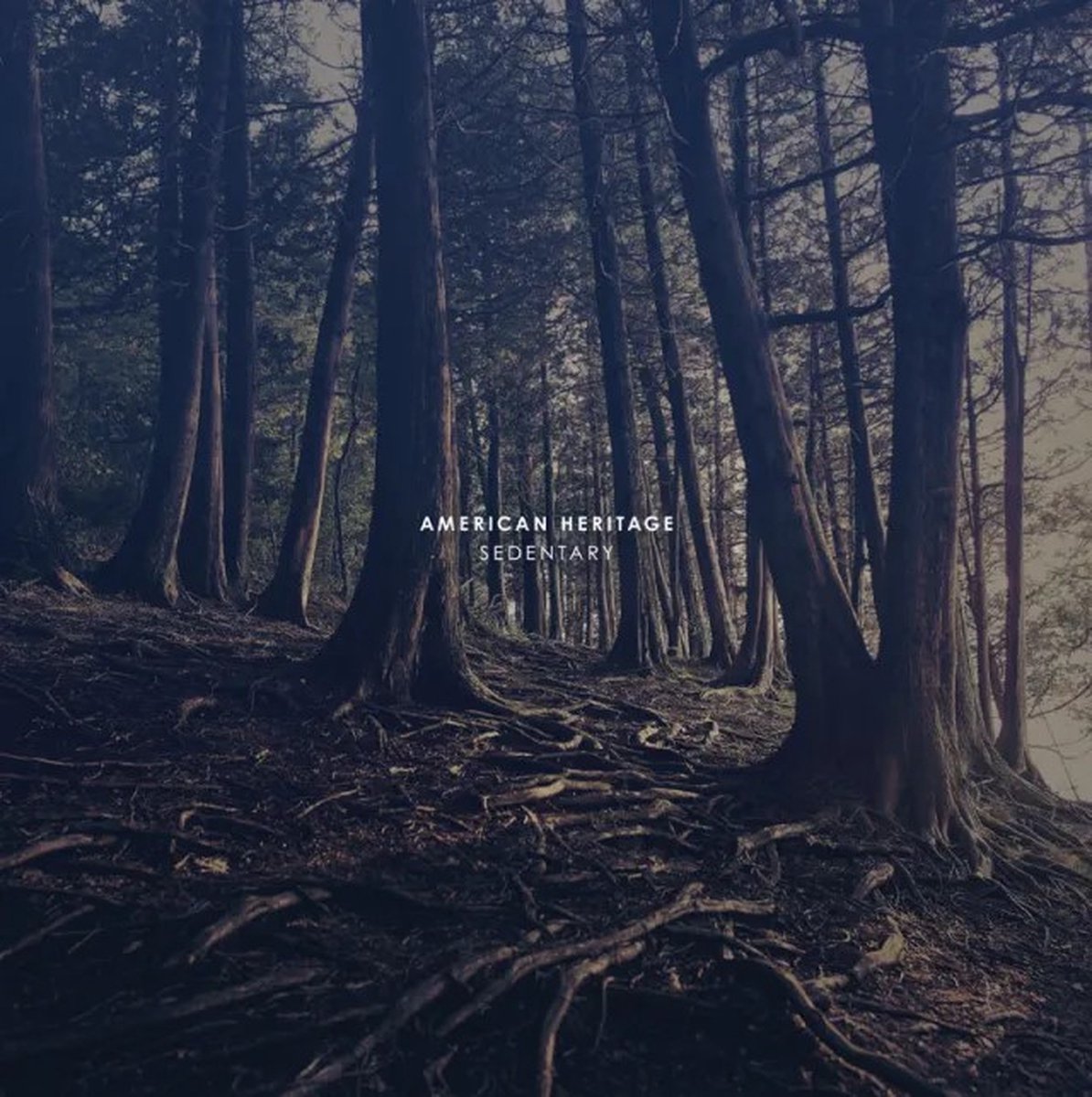American Heritage - Sedentary (LP)