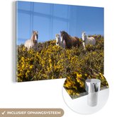 MuchoWow® Glasschilderij 60x40 cm - Schilderij acrylglas - Pony's in het Nationaal Park Pembrokeshire Coast in Engeland - Foto op glas - Schilderijen