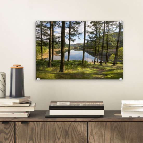 Grands arbres et un lac dans le parc national anglais Peak District Plexiglass 30x20 cm - petit - Tirage photo sur Glas (décoration murale en plexiglas)