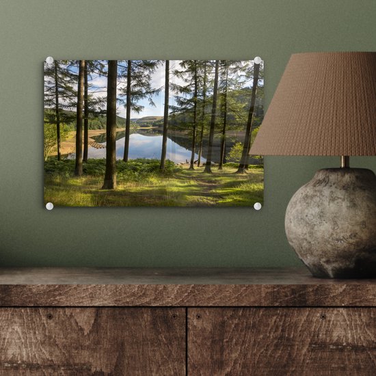 Grands arbres et un lac dans le parc national anglais Peak District Plexiglass 30x20 cm - petit - Tirage photo sur Glas (décoration murale en plexiglas)