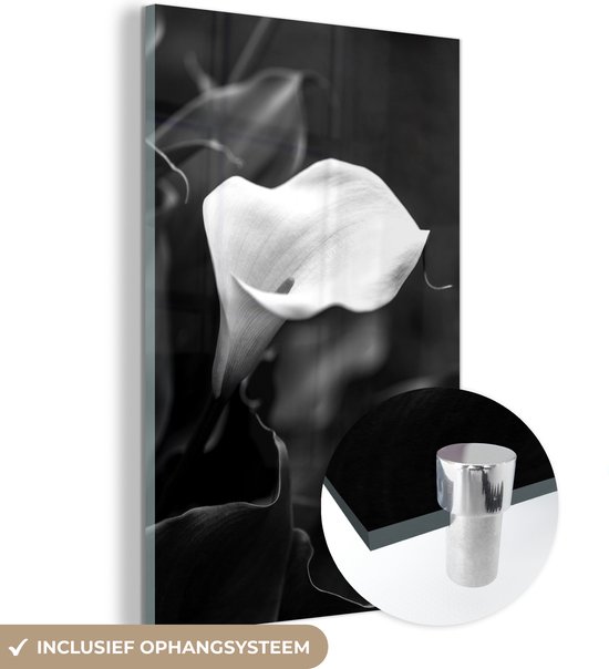 MuchoWow® Glasschilderij 120x180 cm - Schilderij acrylglas - Calla bloemen omringd door bladeren - zwart wit - Foto op glas - Schilderijen