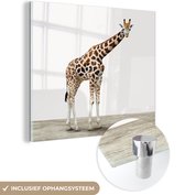 MuchoWow® Glasschilderij 20x20 cm - Schilderij acrylglas - Giraffe - Dieren - Witte achtergrond - Kinderen - Jongen - Meisje - Foto op glas - Schilderijen