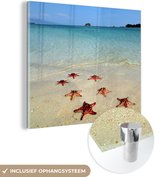 MuchoWow® Glasschilderij 50x50 cm - Schilderij acrylglas - Zeester - Zee - Eiland - Foto op glas - Schilderijen