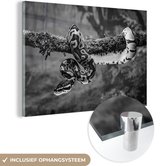 MuchoWow® Glasschilderij 120x80 cm - Schilderij acrylglas - Slang - zwart wit - Foto op glas - Schilderijen