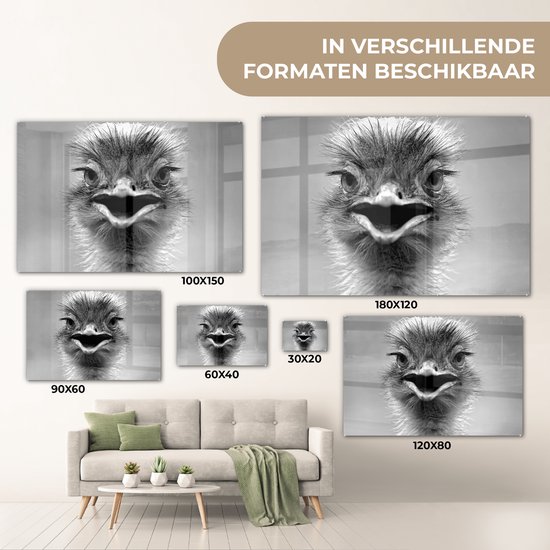 MuchoWow® Peinture sur verre 120x80 cm - Peinture sur verre acrylique - Autruche en gros plan - noir et blanc - Photo sur verre - Peintures