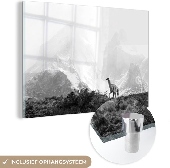 MuchoWow® Peinture sur Verre - Lama avec de hautes montagnes - noir et blanc - 180x120 cm - Peintures sur Verre Acrylique - Photo sur Glas