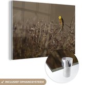 MuchoWow® Glasschilderij 180x120 cm - Schilderij acrylglas - Geelgors valt op in een herfstachtig landschap - Foto op glas - Schilderijen