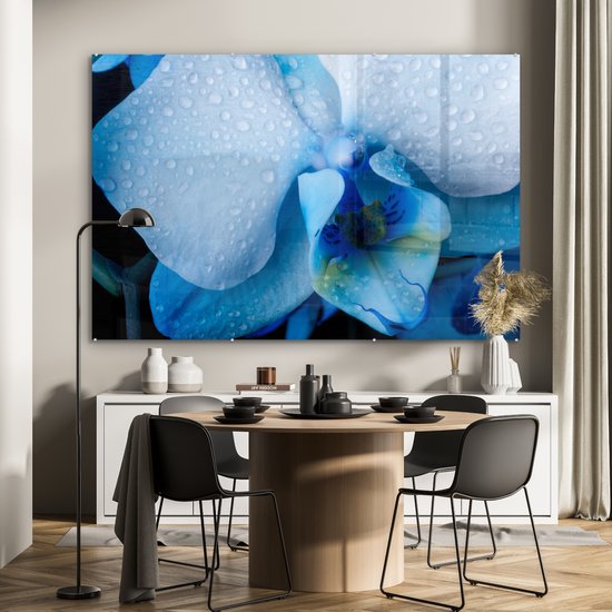 Peinture sur verre MuchoWow® - Gros plan d'une orchidée bleue avec des feuilles claires - 150x100 cm - Peintures sur verre acrylique - Photo sur Glas