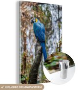 MuchoWow® Glasschilderij 20x30 cm - Schilderij acrylglas - Vogel - Papegaai - Blauw - Foto op glas - Schilderijen