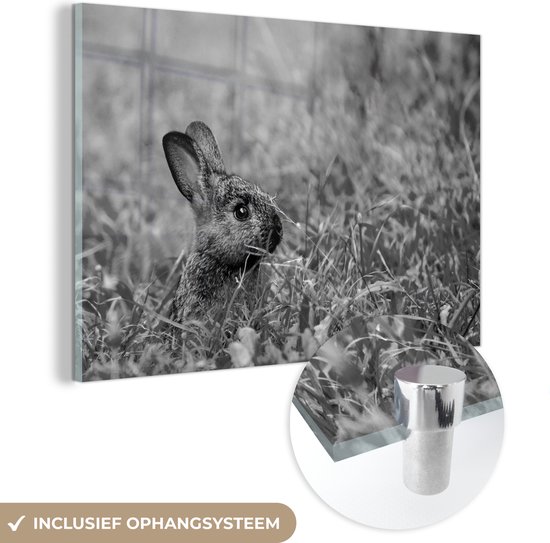 MuchoWow® Glasschilderij 30x20 cm - Schilderij acrylglas - Baby konijn zittend in het gras - zwart wit - Foto op glas - Schilderijen