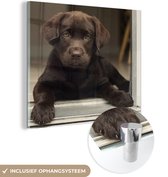 MuchoWow® Glasschilderij 90x90 cm - Schilderij acrylglas - Schattige Labrador Retriever die in de camera kijkt - Foto op glas - Schilderijen