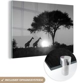 MuchoWow® Glasschilderij 60x40 cm - Schilderij acrylglas - Giraffen voor de ondergaande zon - zwart wit - Foto op glas - Schilderijen