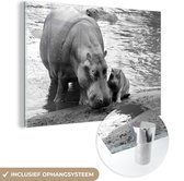 MuchoWow® Glasschilderij 120x80 cm - Schilderij acrylglas - Nijlpaard in het water - zwart wit - Foto op glas - Schilderijen