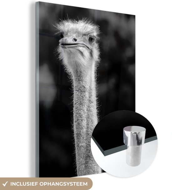 MuchoWow® Glasschilderij 90x120 cm - Schilderij acrylglas - Close-up van een struisvogel - zwart wit - Foto op glas - Schilderijen